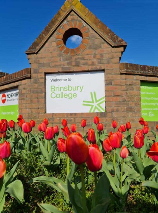 Bramley Guest Rooms Pulborough Kültér fotó